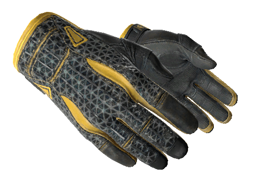 ★ Sport Gloves | Omega (Well-Worn)