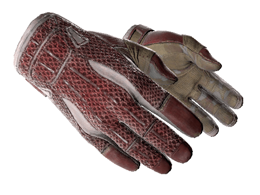 ★ Sport Gloves | Slingshot (Well-Worn)