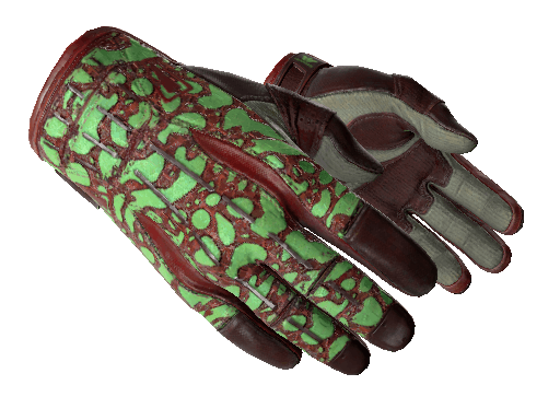 ★ Sport Gloves | Bronze Morph (Minimal Wear)