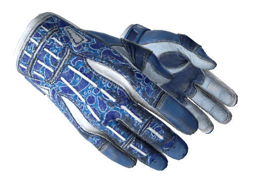 ★ Sport Gloves | Amphibious (Field-Tested)