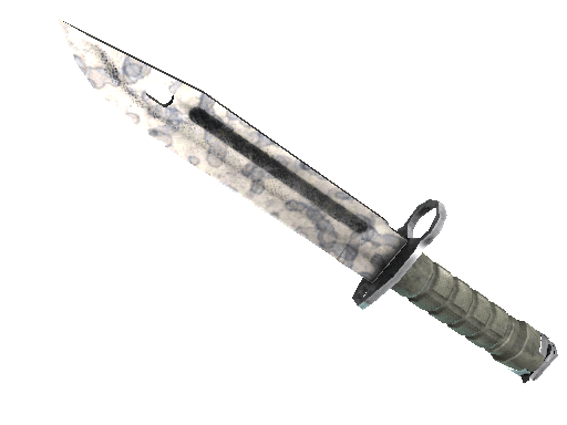 ★ Bayonet | Stained (Field-Tested)