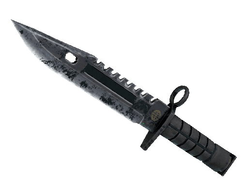 ★ M9 Bayonet | Night (Battle-Scarred)